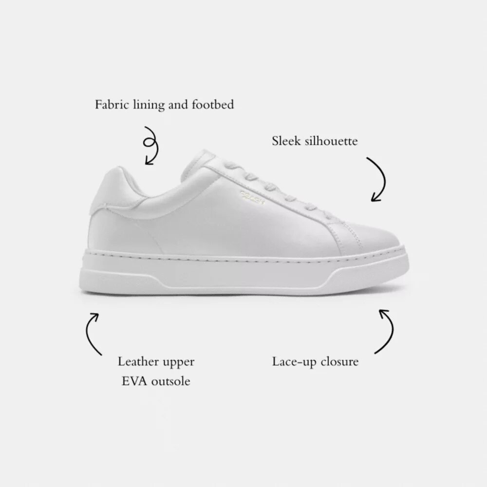 High Line Sneaker in Signature Canvas