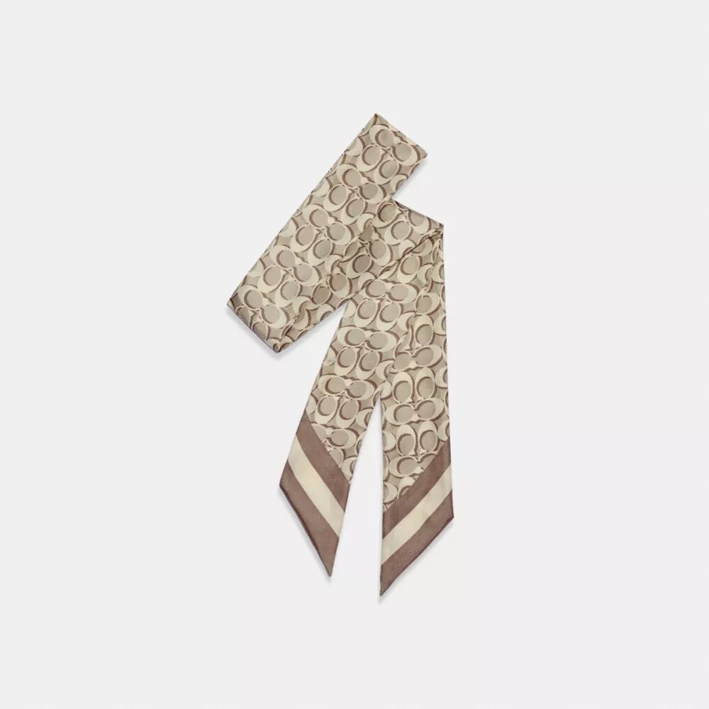 Signature Print Silk Skinny Scarf
