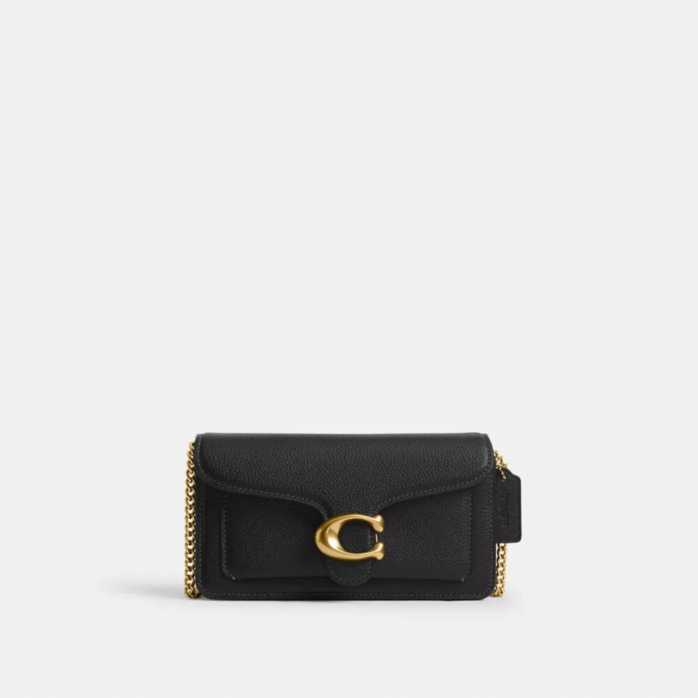 Tabby Chain Crossbody Bag 19