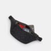 Warren Mini Belt Bag